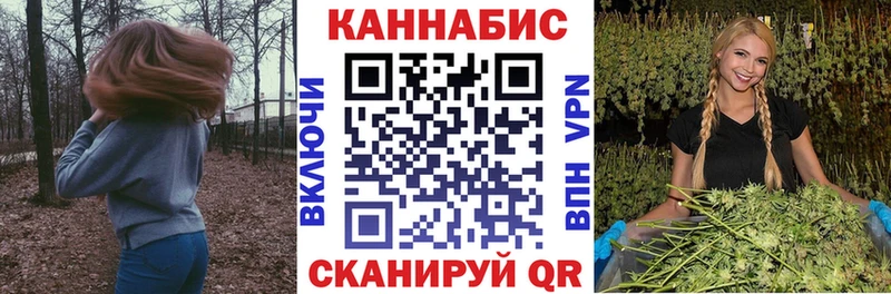 Каннабис семена  Купить где  Суворов 
